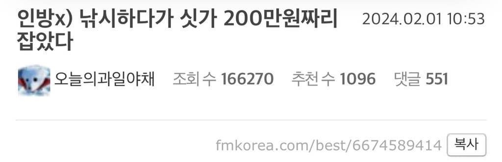 낚시하다 싯가 200만원짜리 낚은 펨코인