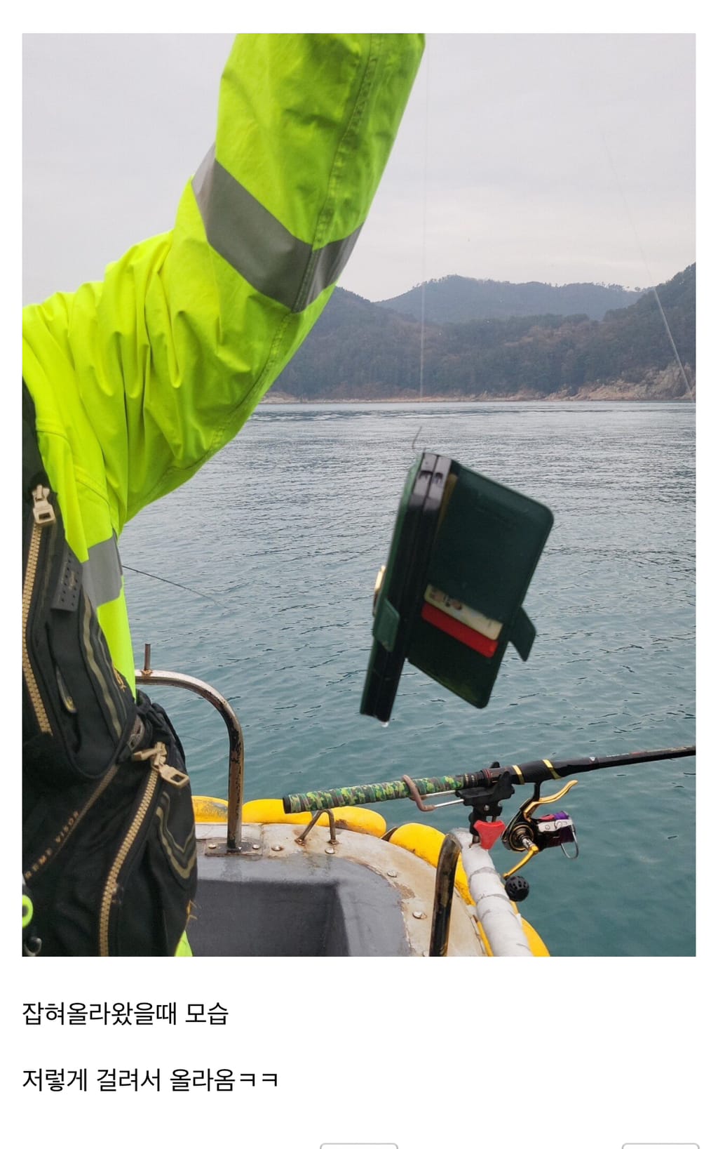 낚시하다 싯가 200만원짜리 낚은 펨코인
