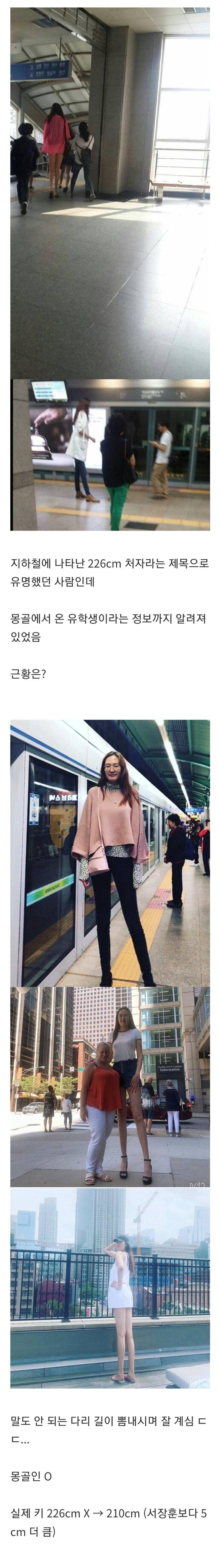 한때 226cm 처자로 잘못 알려지신 분