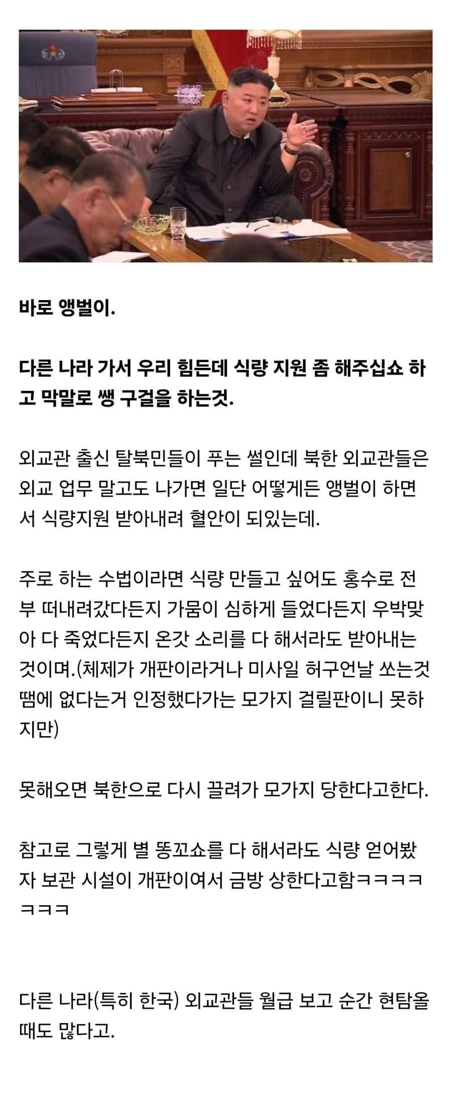 북한에서 외교관들이 주로 하는 업무중에서 하나.jpg