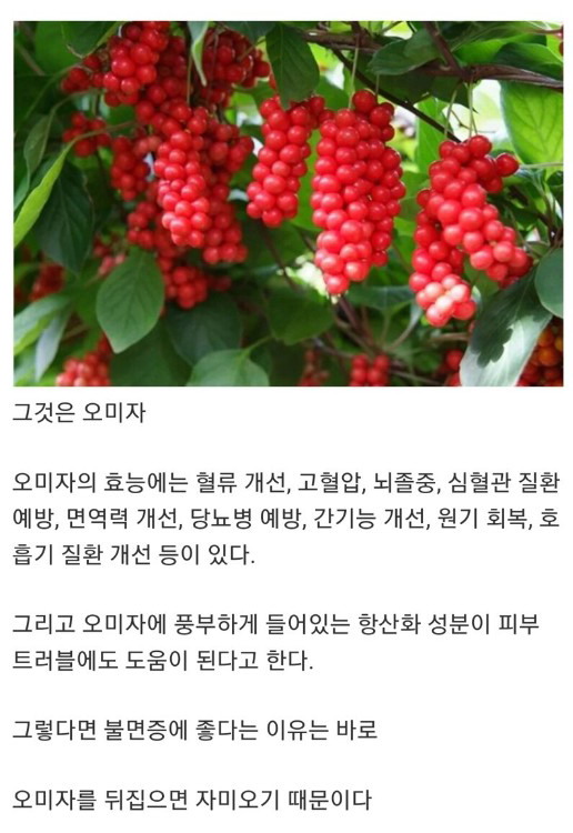 의외로 불면증에 좋은 과일..