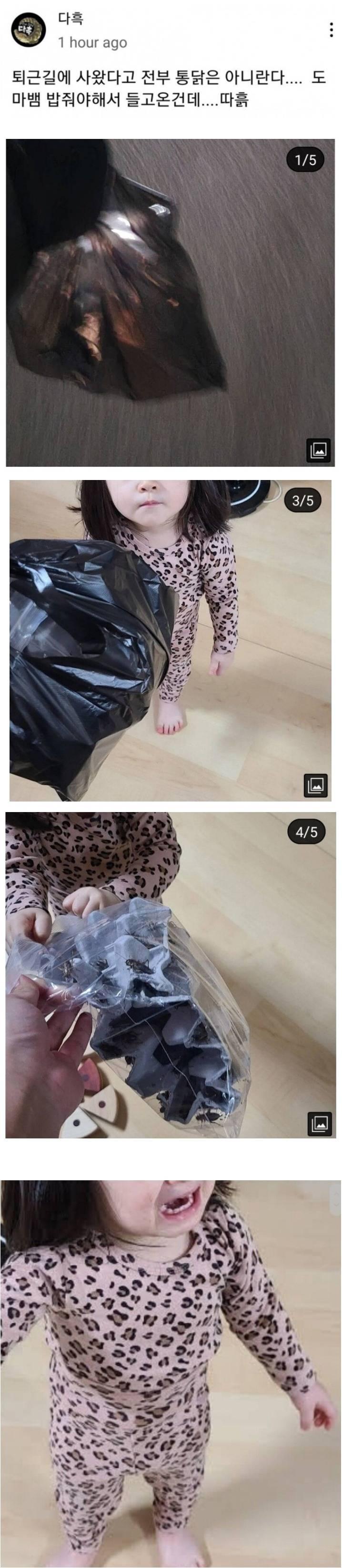 아빠가 치킨을 사 왔다.