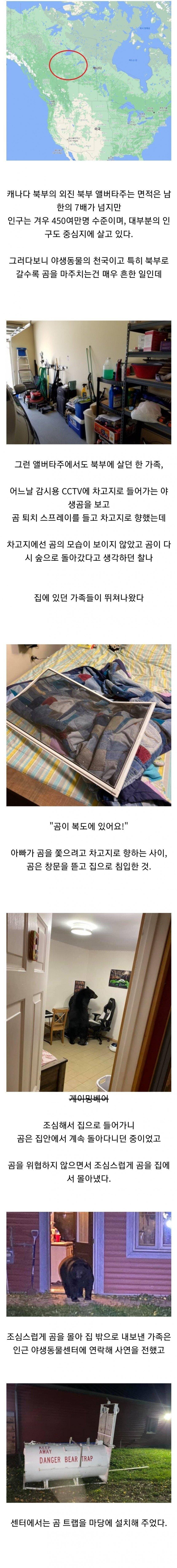 캐나다 북부에 살기 무서운 이유.