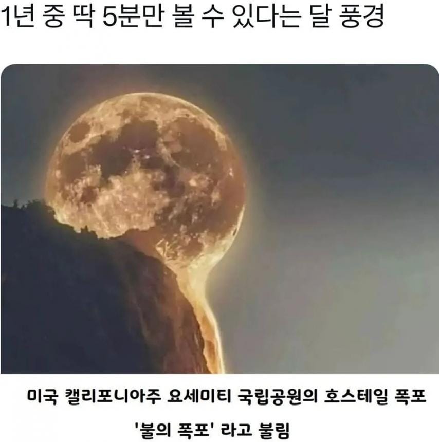 1년 중에 2주만 볼 수 있는 풍경