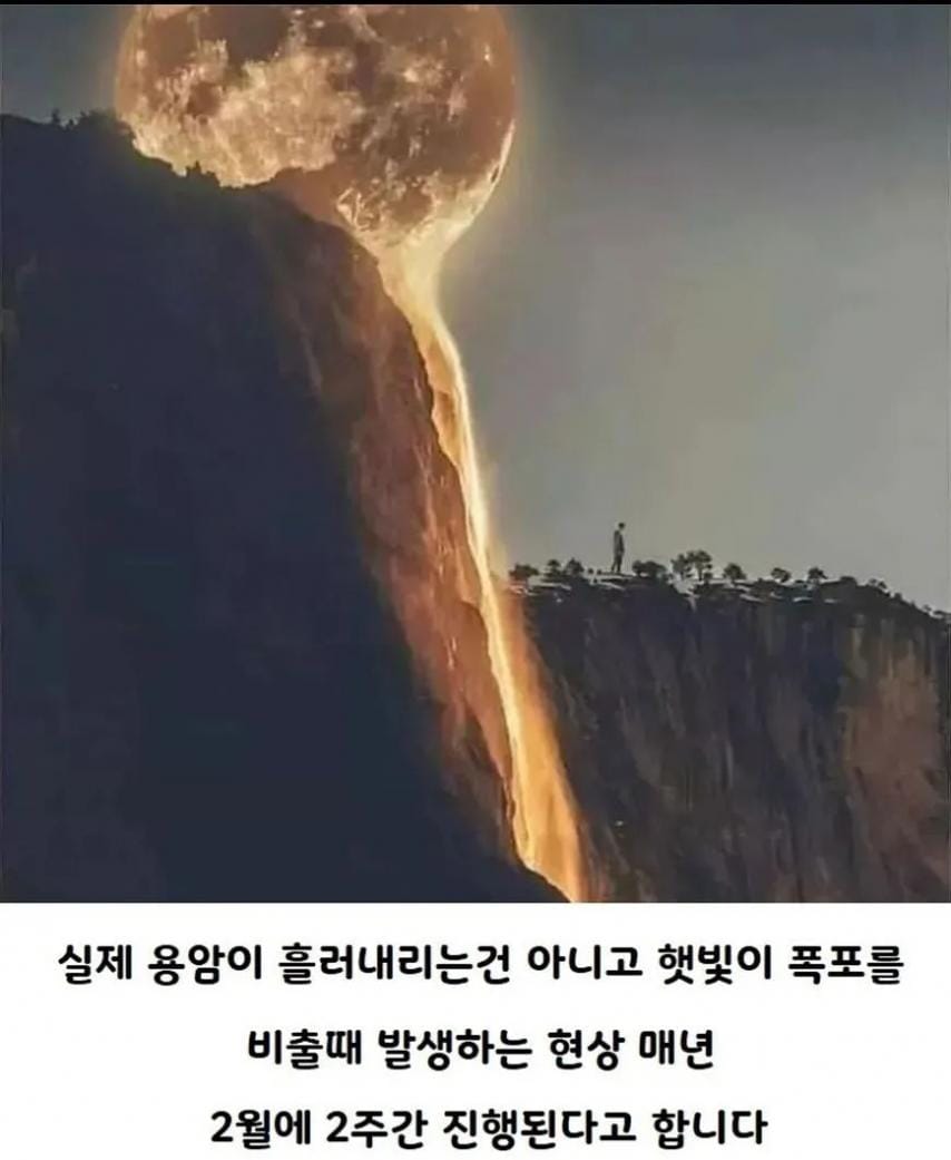 1년 중에 2주만 볼 수 있는 풍경