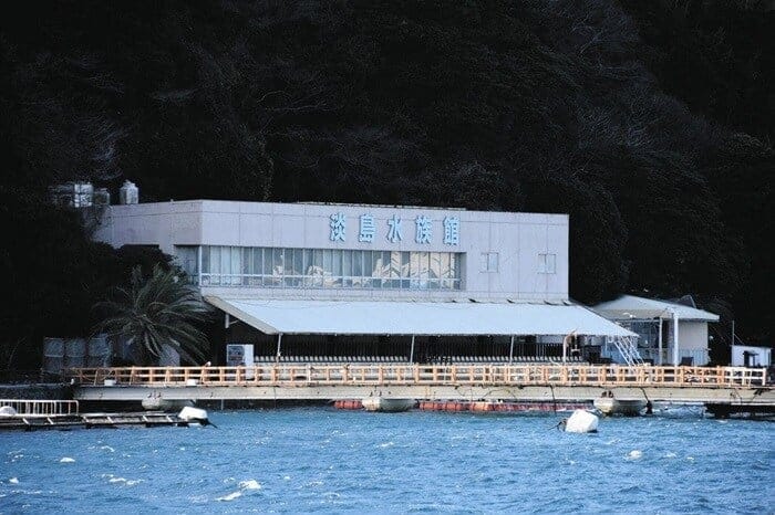 어제 폐관하려던 일본 수족관이 폐관일을 늦춘 이유