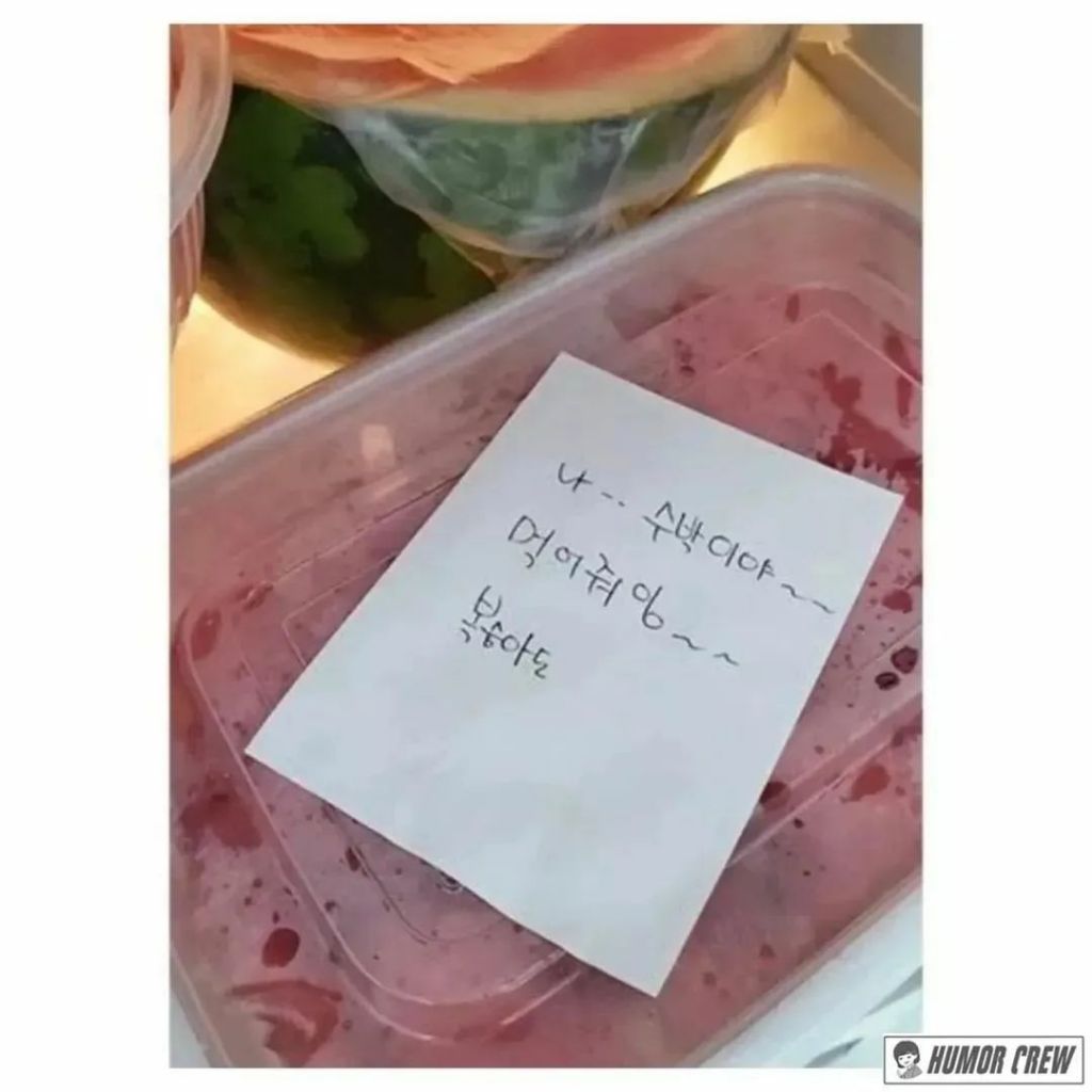 냉장고 속 어머니의 사랑