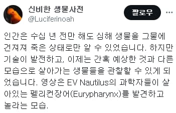 처음 촬영된 심해어가 살아 움직이는 모습.