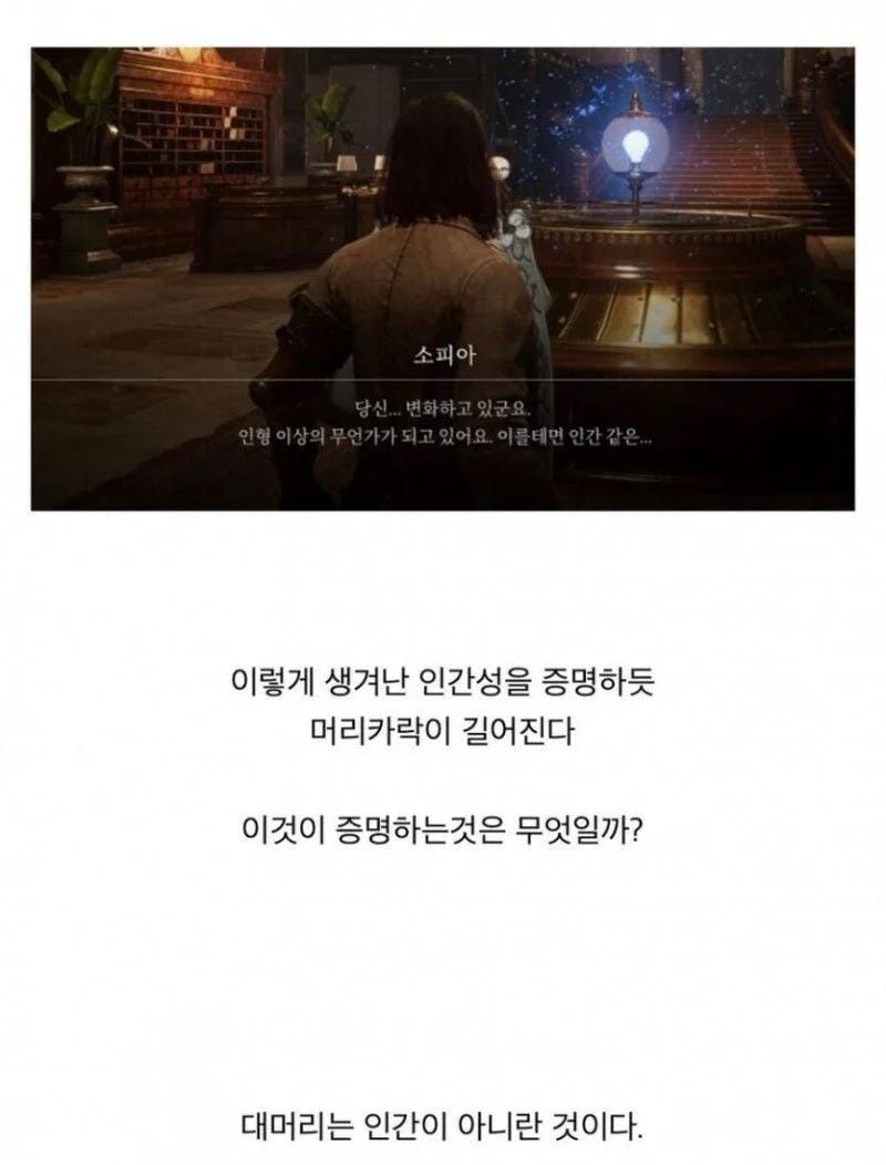 게임 P의 거짓에서 드러나는 인간성의 증거 .jpg