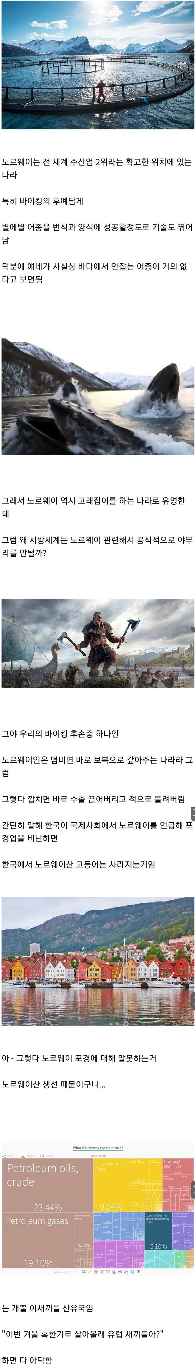 노르웨이 고래잡이에 비난이 없는 이유.