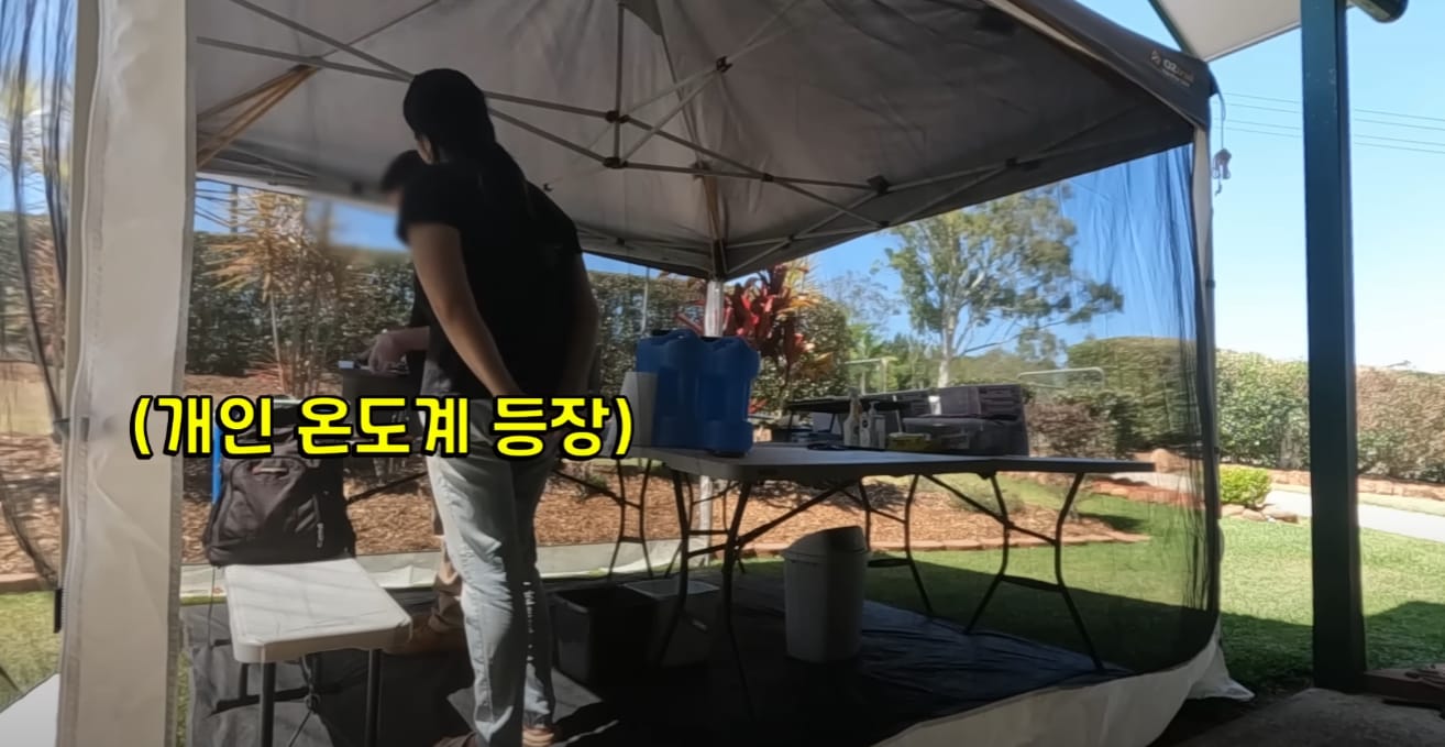 호주 길거리 음식이 안심할 수 있는 이유