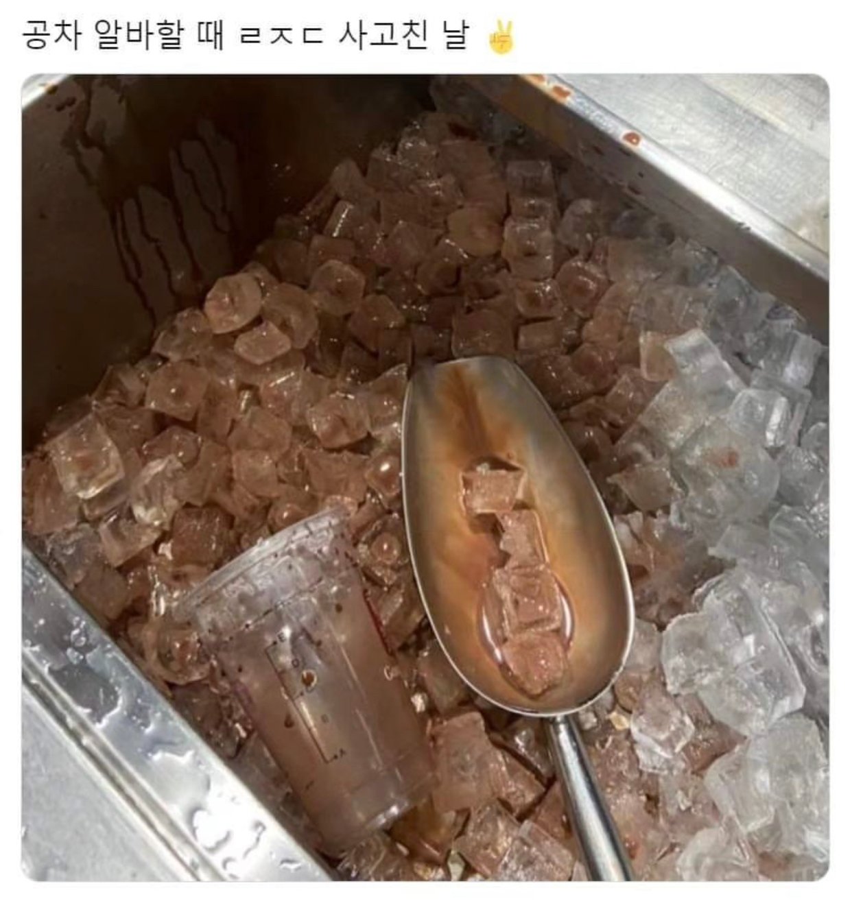 공차 알바 ㄹㅈㄷ 사고친 날.✌️