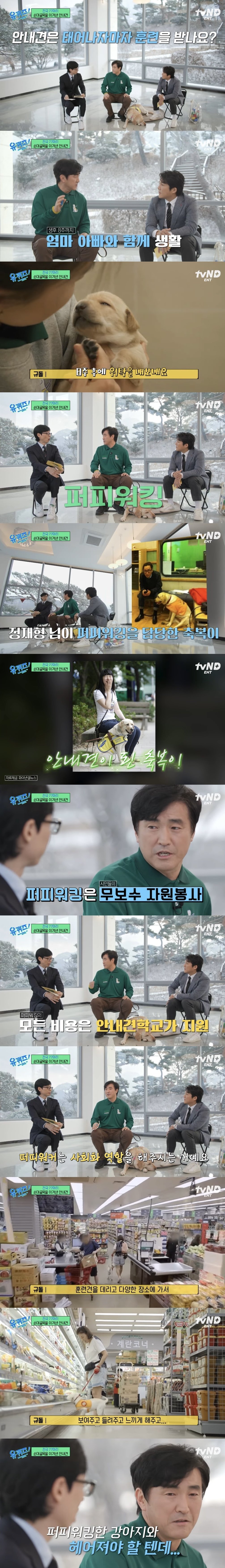 유퀴즈] 안내견 훈련 과정 중 눈물바다가 되는 순간