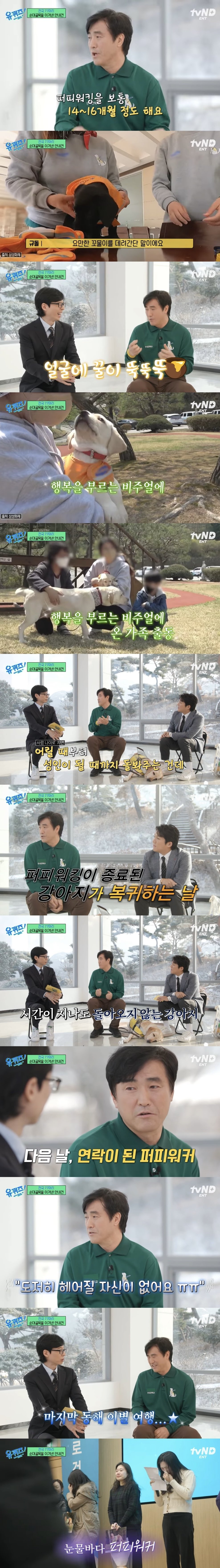 유퀴즈] 안내견 훈련 과정 중 눈물바다가 되는 순간