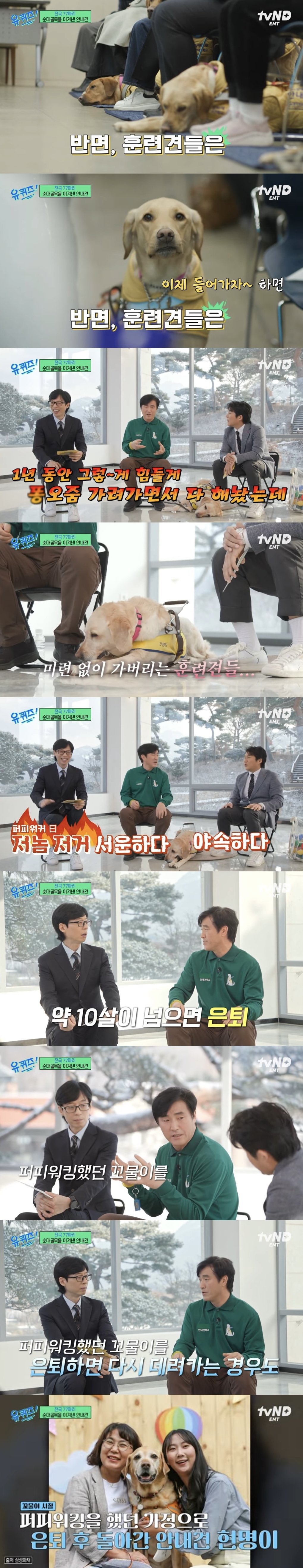 유퀴즈] 안내견 훈련 과정 중 눈물바다가 되는 순간