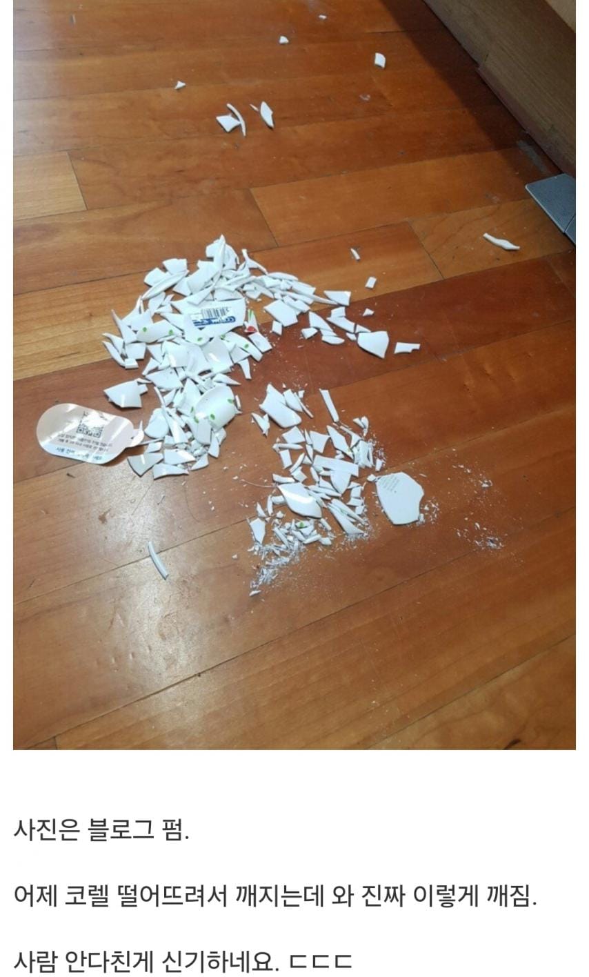 깨지면 ㅈ된다는 악명높은 코렐 그릇