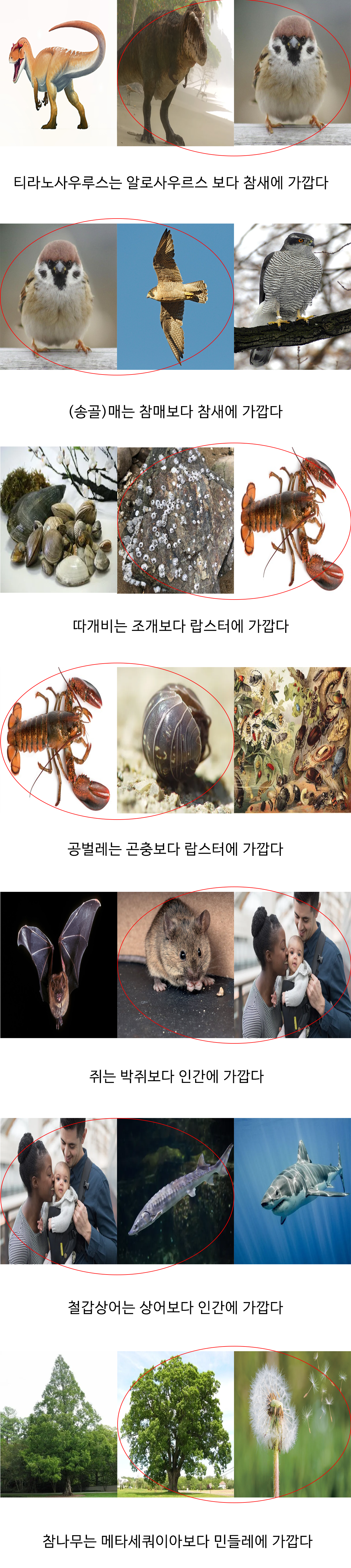 충격적일수도 있는 생물 계통학적 사실들