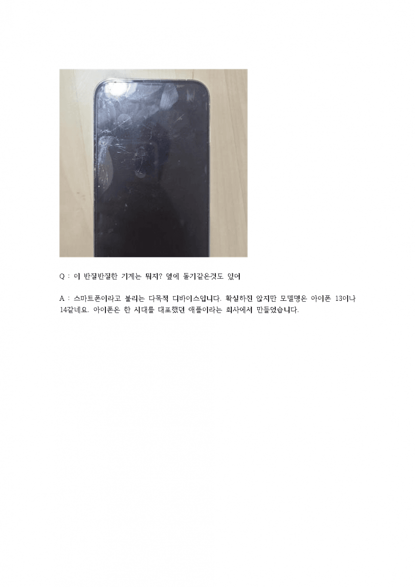 50년 후. 손자의, 물건 용도 질문.jpg