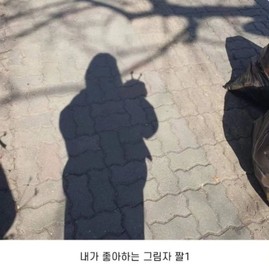 내 동생 강아지 머리 잘 묶어