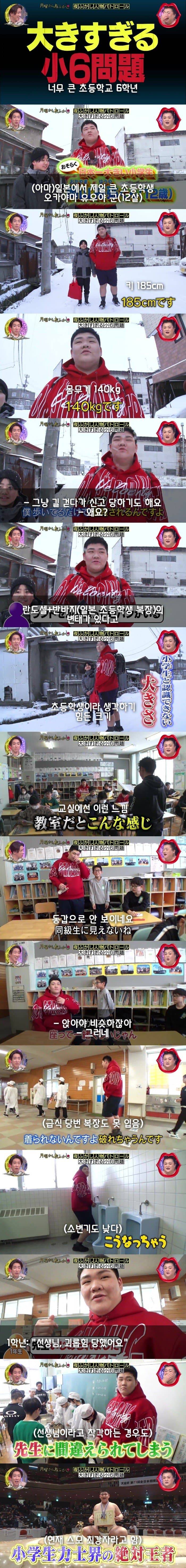 일본에서 제일 큰 12살