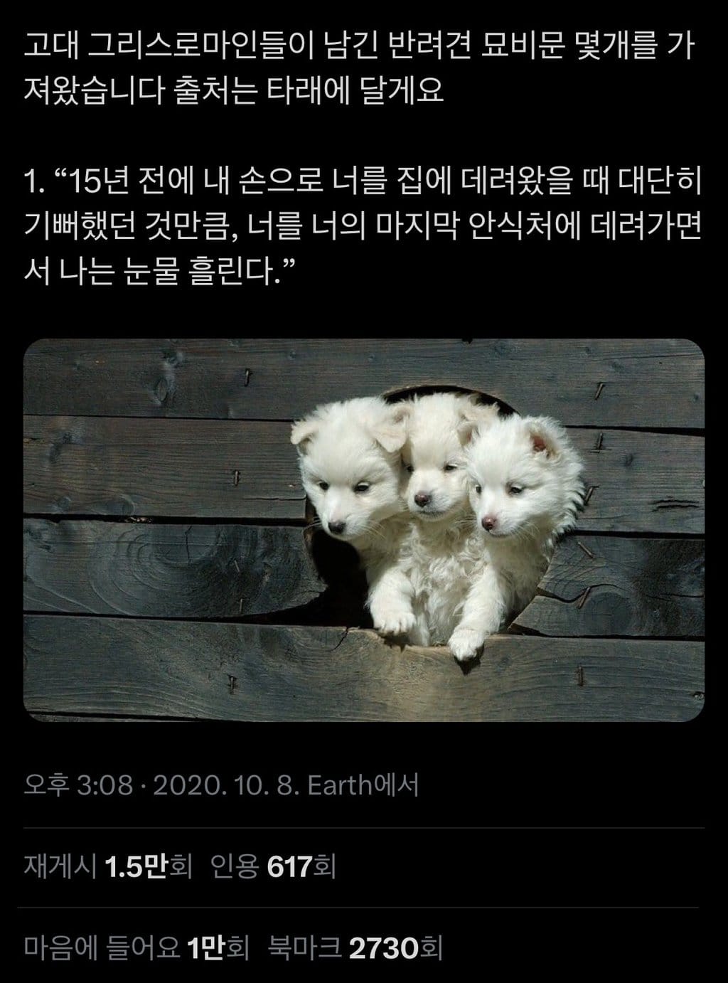 고대로마 댕댕이 무덤 묘비명들