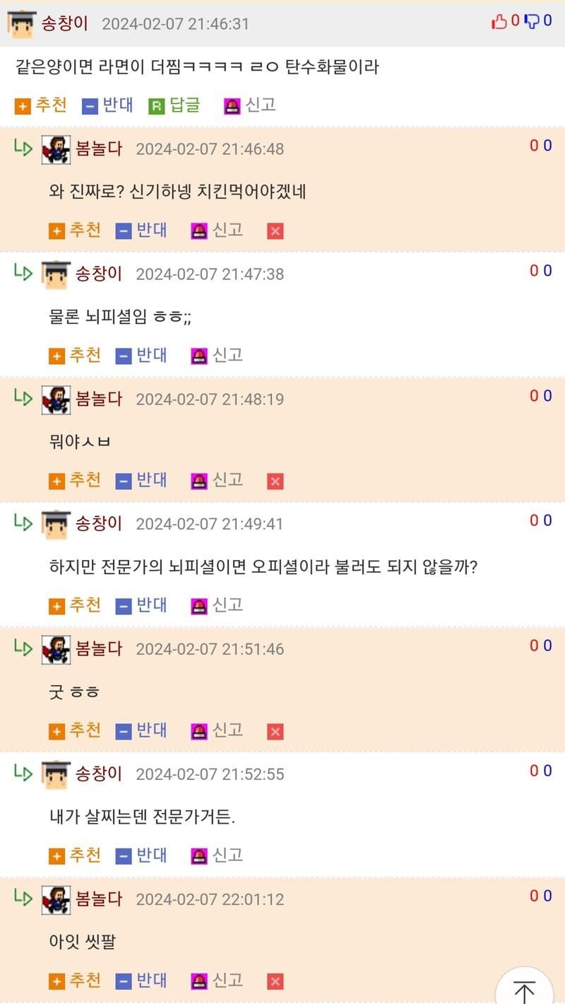 어느 전문가의 댓글