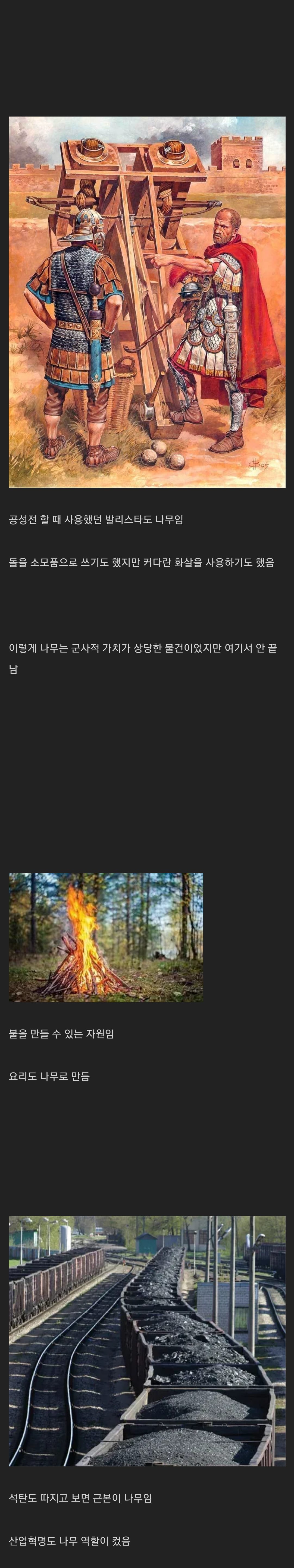 나무는 얼마나 개사기 자원이었는가