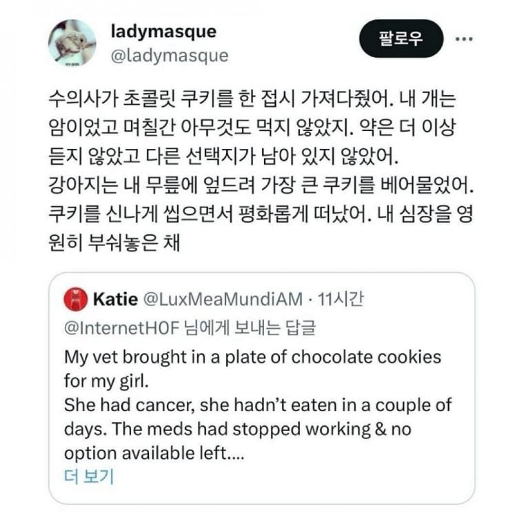 수의사가 강아지에게 초콜릿을 주는 이유