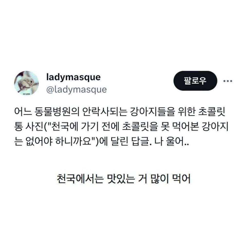 수의사가 강아지에게 초콜릿을 주는 이유