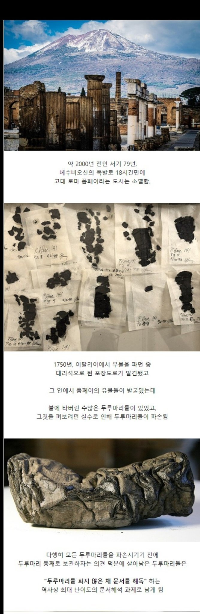 서양철학 관련 대학원생들 다 뒤졌음