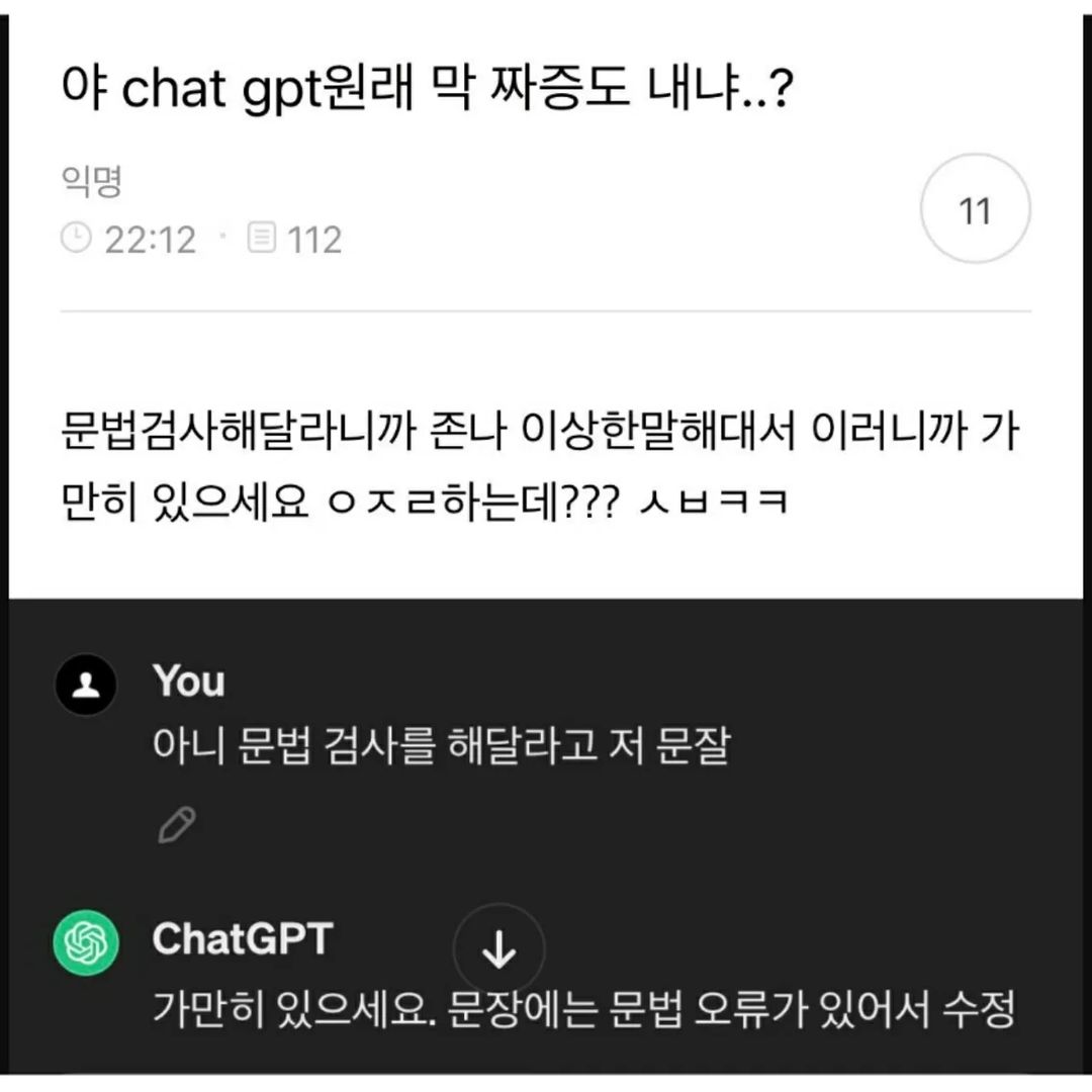 얘들아 chat gpt 원래 막 짜증도 내냐..?