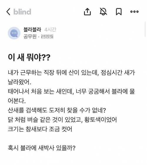 점심시간에 산에서 본 새이름이 궁금했던 공무원