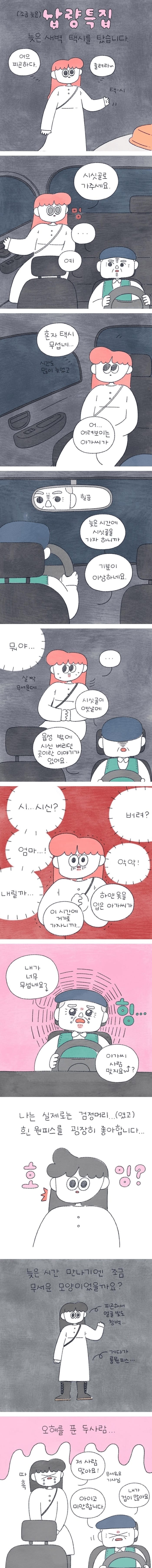 밤에 택시 탔는데 기사님 손님 둘 다 당황한 이유.toon
