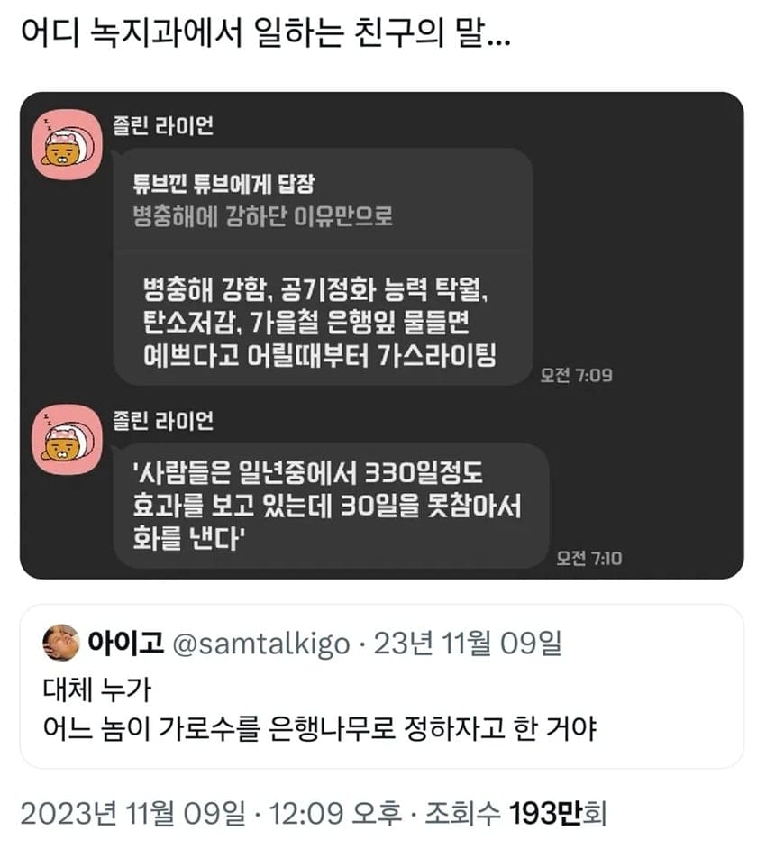 가로수 은행나무 바꾸지 않는 이유.jpg