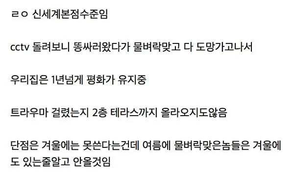 평화적인 방법으로 길냥이 내쫓은 루리웹 유저