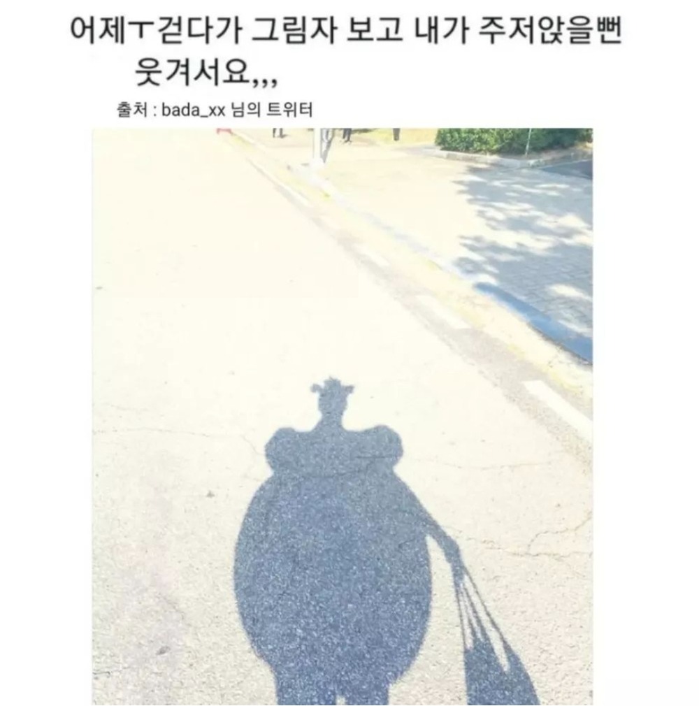 걷다가 내그림자보고 내가 주저 앉을 뻔.jpg