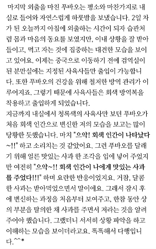 푸바오의 중국 여행 D-29