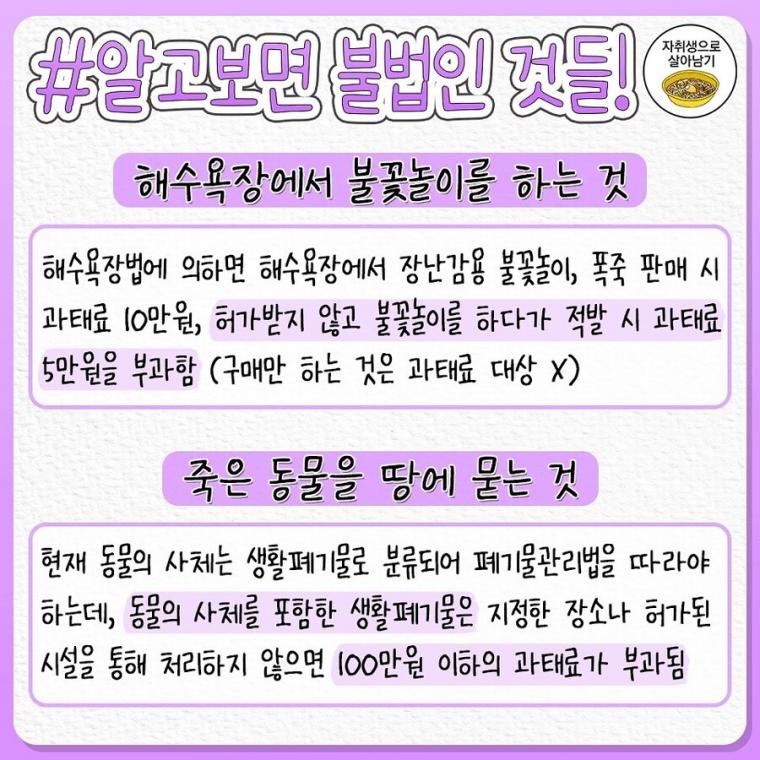 진짜 몰랐는데 사실은 불법이었던 범죄 행동