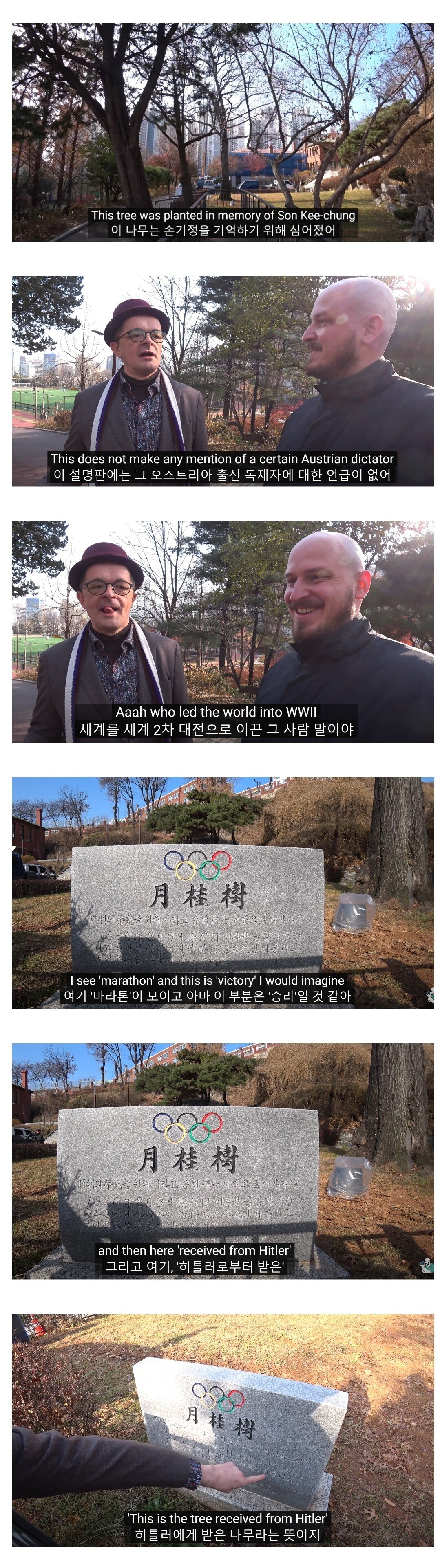 의외로 한국에 있는 히틀러가 준 나무.jpg