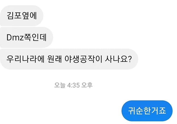 속보) DMZ 근처에서 북파공작 포착