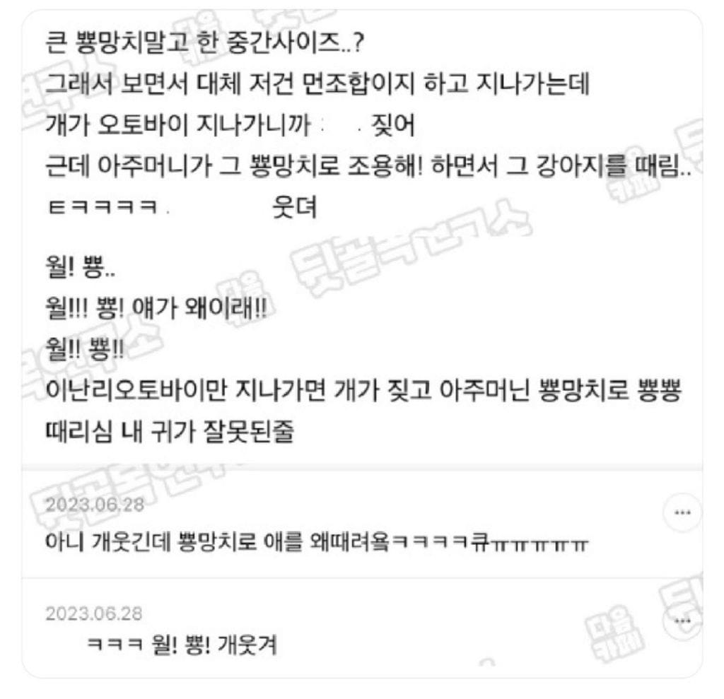 어떤 아주머니가 엄청 큰 개를 산책하고 있는데 뿅망치를 들고 계신거야