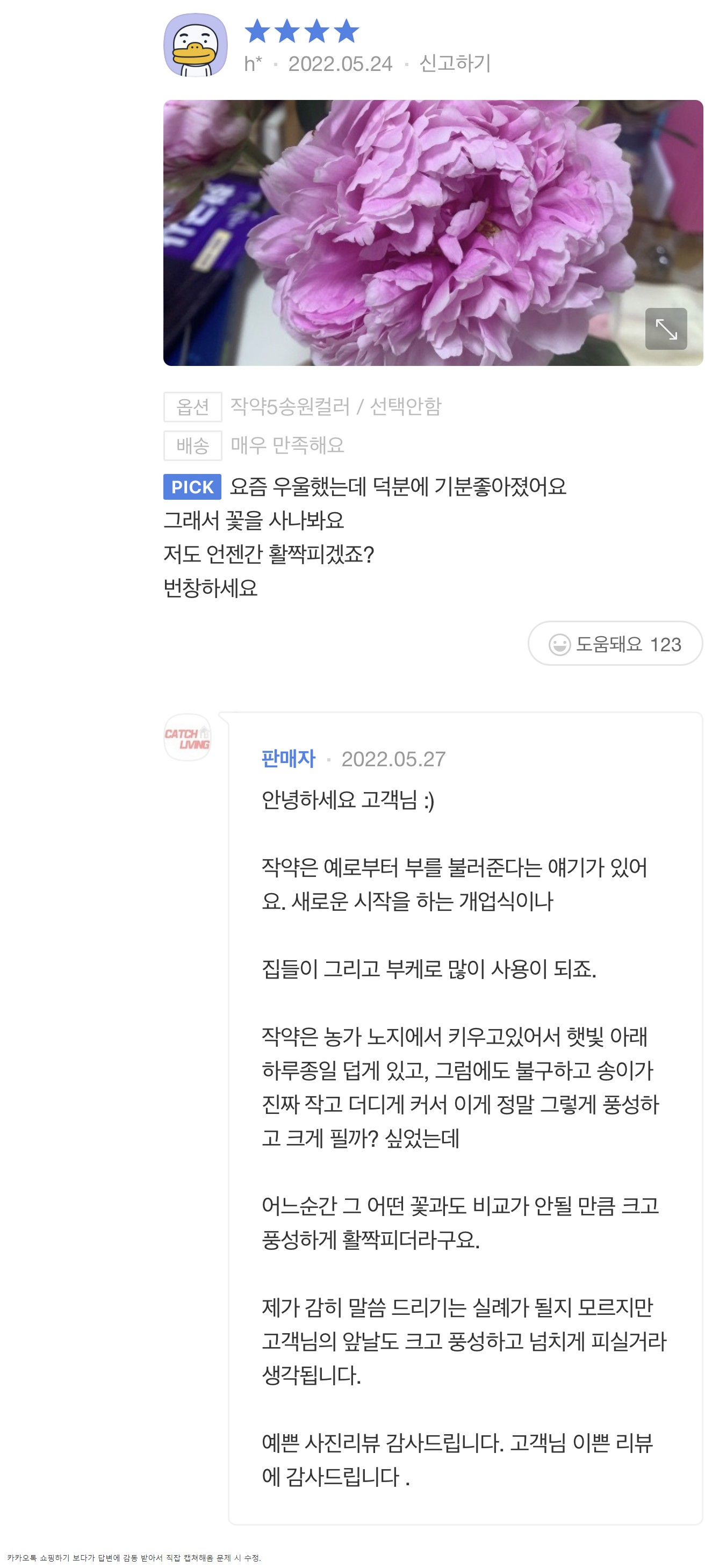 저도 언젠가 활짝 피겠죠