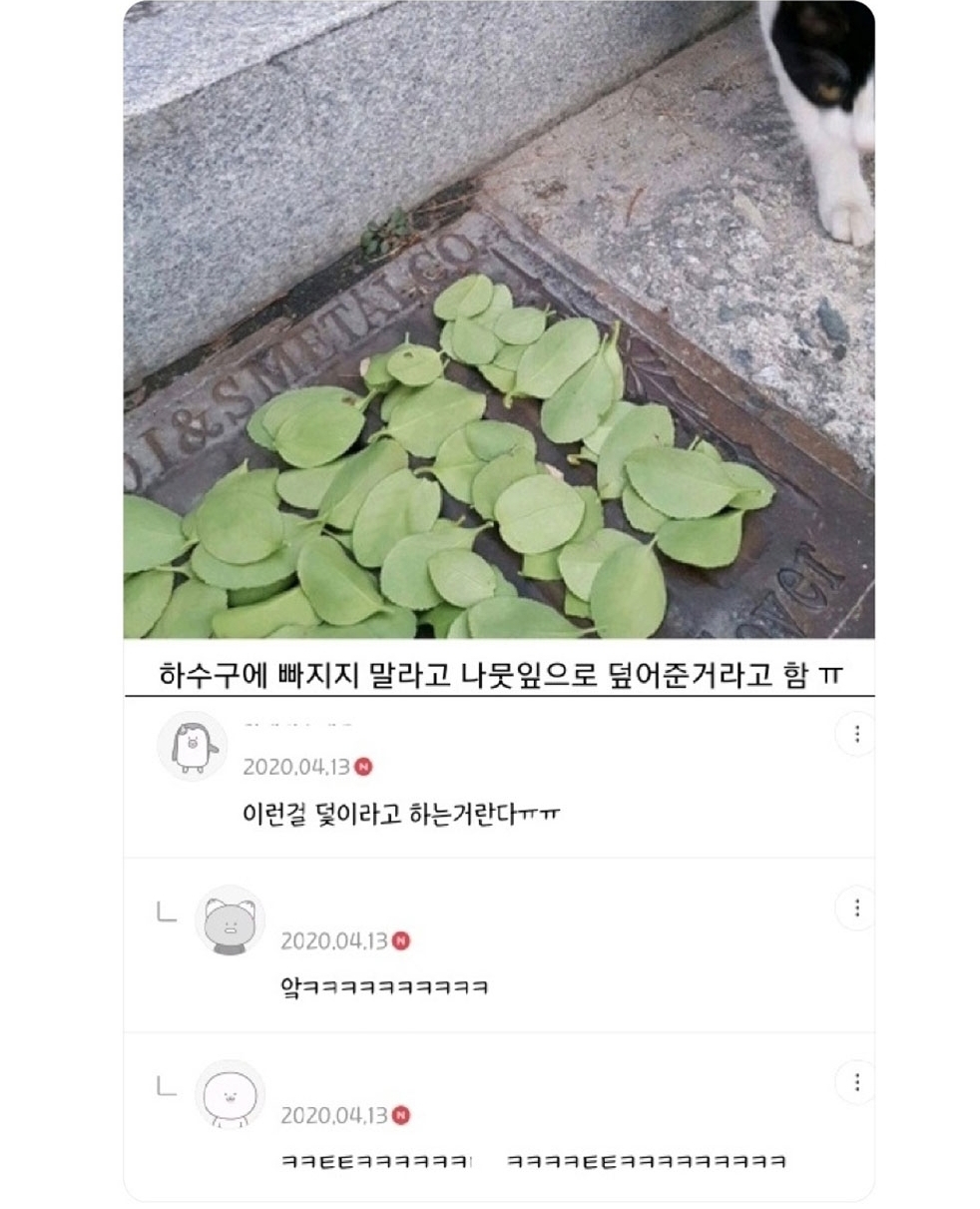 완벽한 부비트랩..