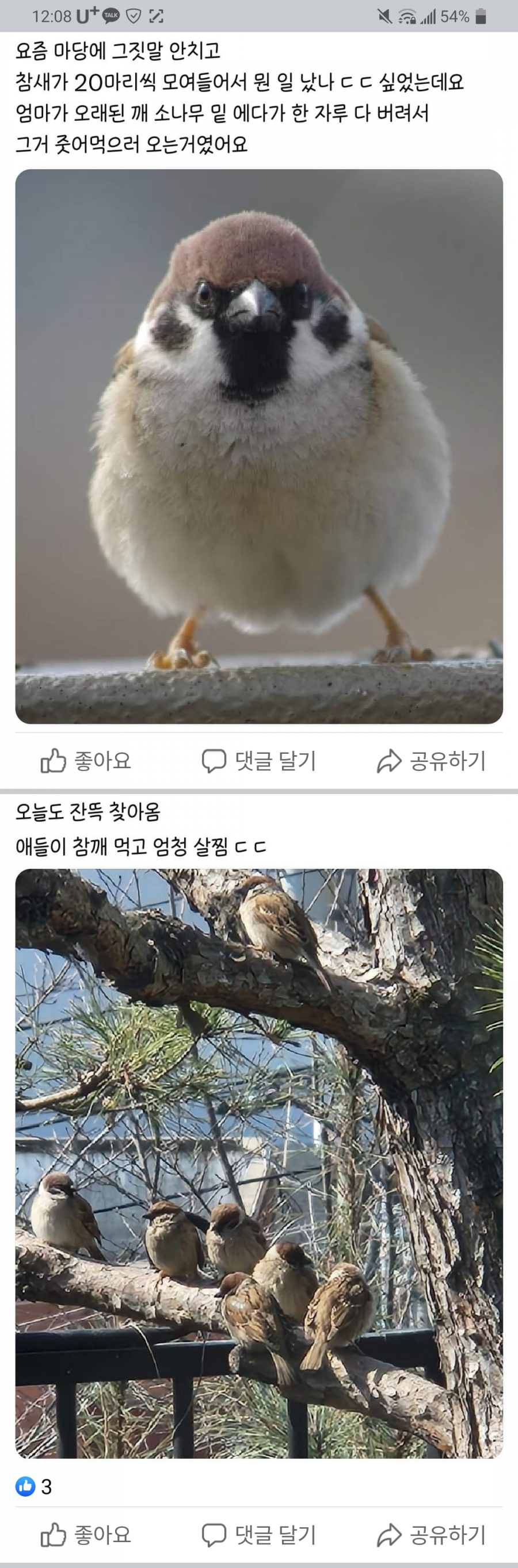 참새 잔치 열림 ㄷㄷ.jpg