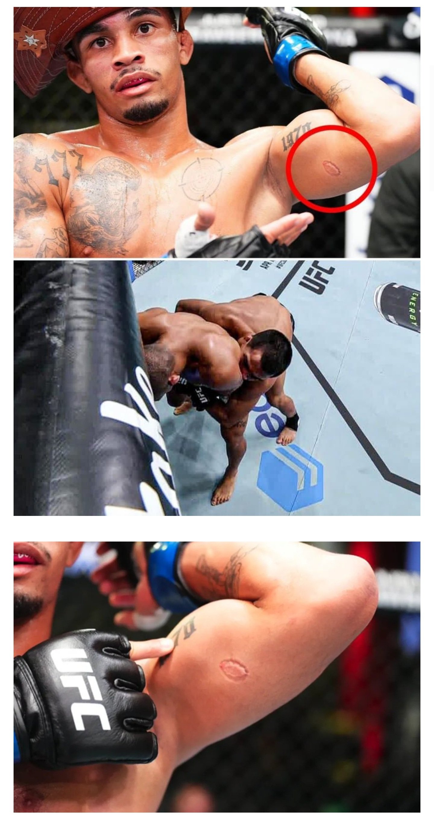오늘자 UFC 퇴출경기의 가짜광기 vs 진짜광기.jpg