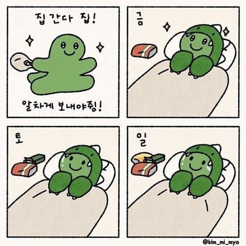 3일간 쉬는 개붕이들 근황