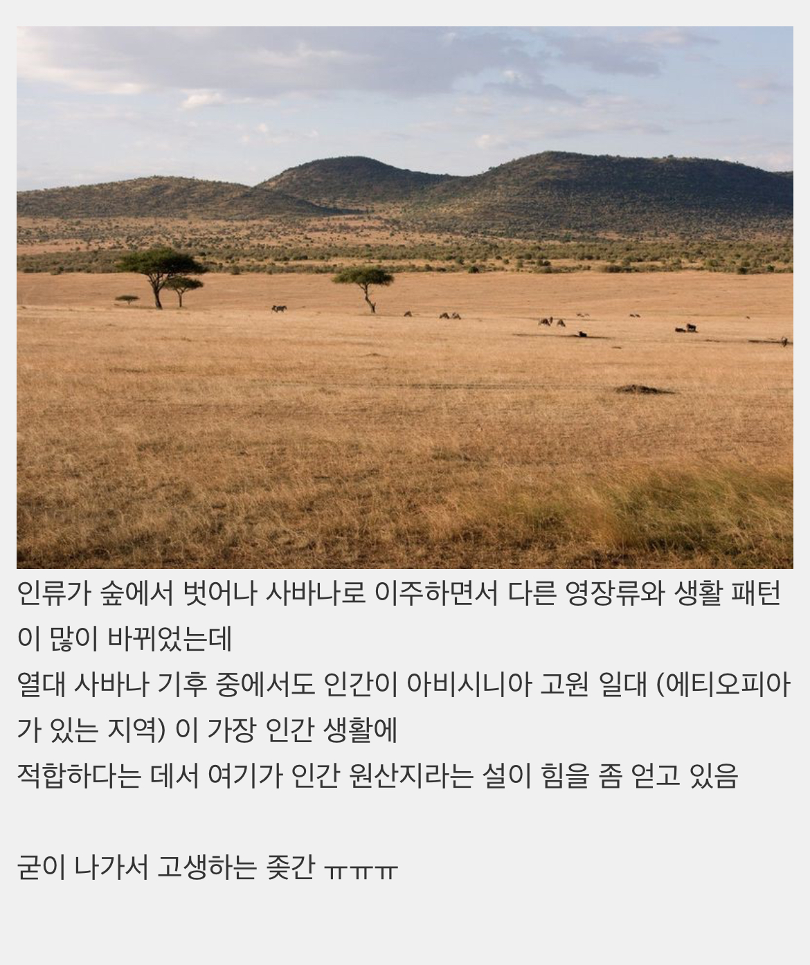 인간들 원산지를 벗어나서 병 잘 걸리고 생활 빡세졌다는거 왜케 웃기지