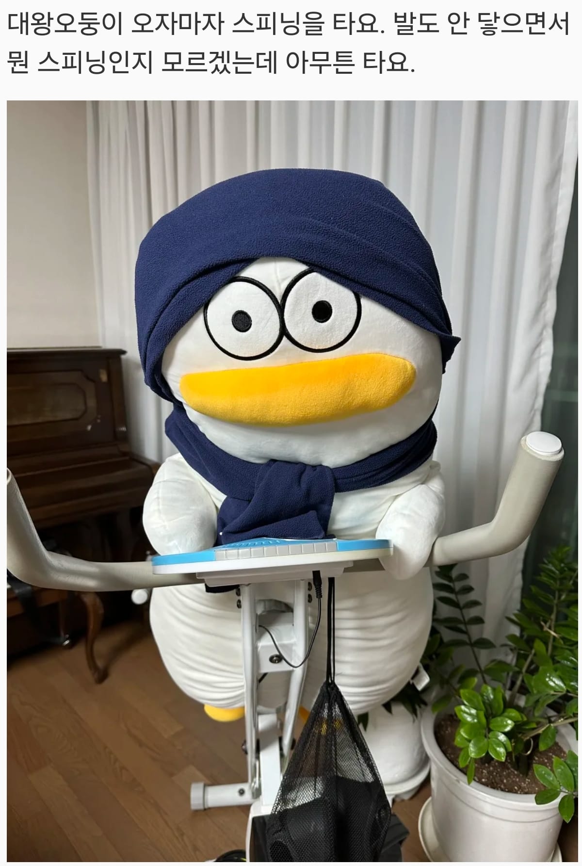어딘가 이상한 바디 필로우 후기들