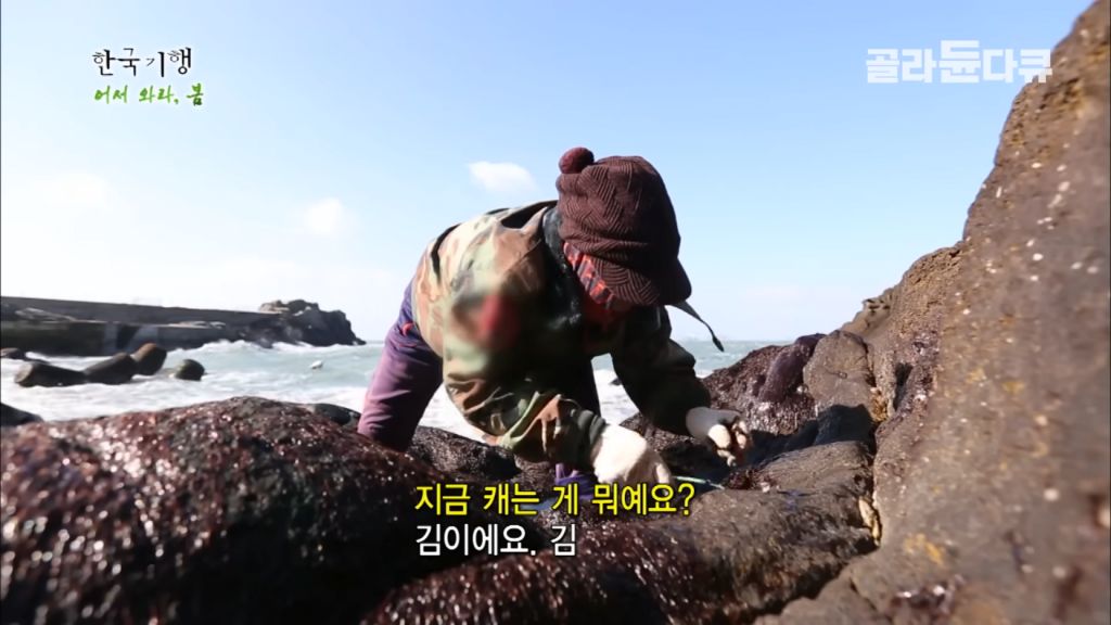 갑작스런 기상악화로 섬에 갇혀버린 제작진에게 생긴 일 ㄷㄷ..JPG