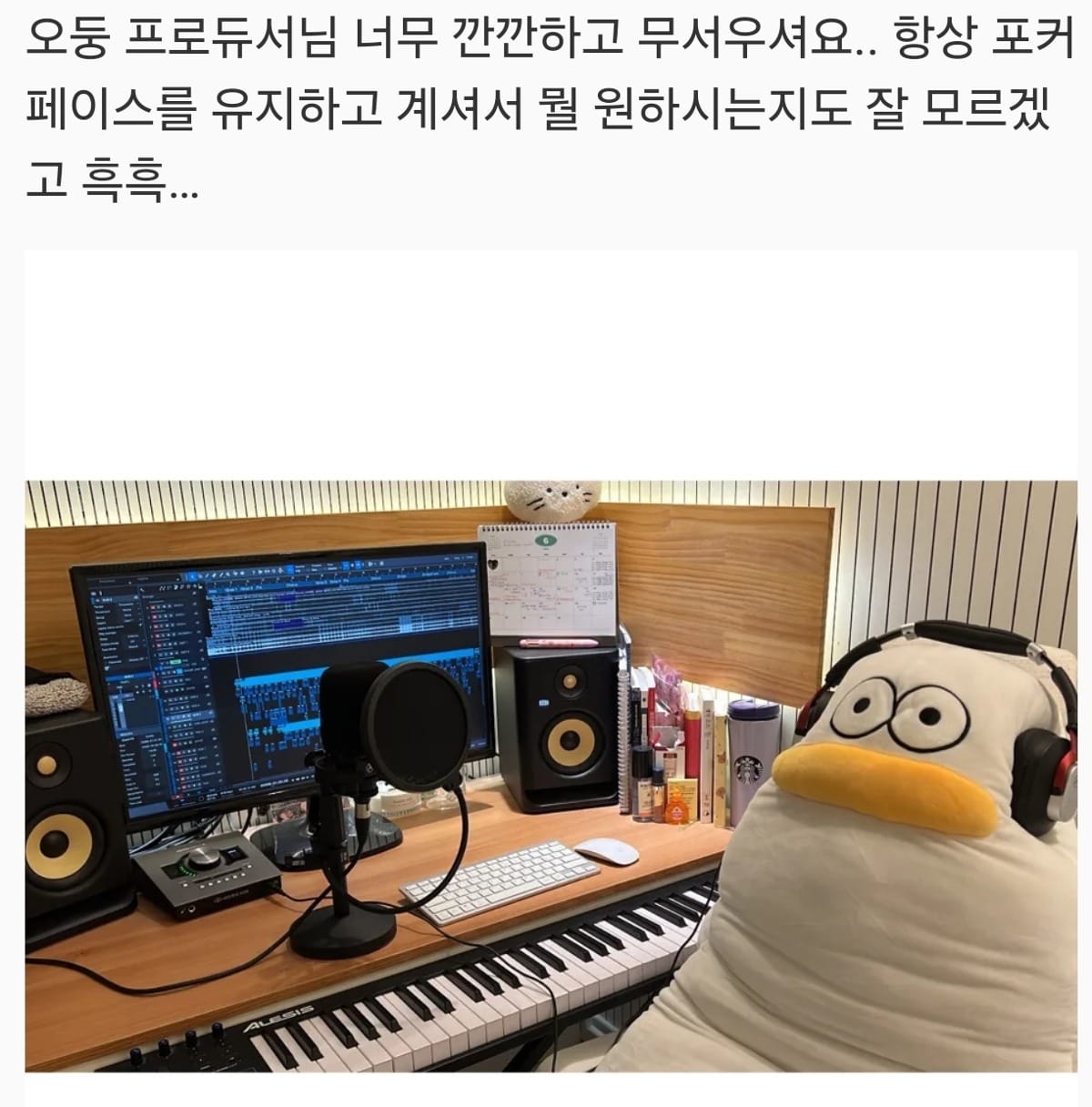어딘가 이상한 바디 필로우 후기들